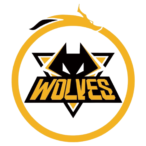 他的经验和 他的经验和